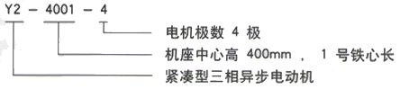 YR系列(H355-1000)高压YKK6302-12/630KW三相异步电机西安西玛电机型号说明